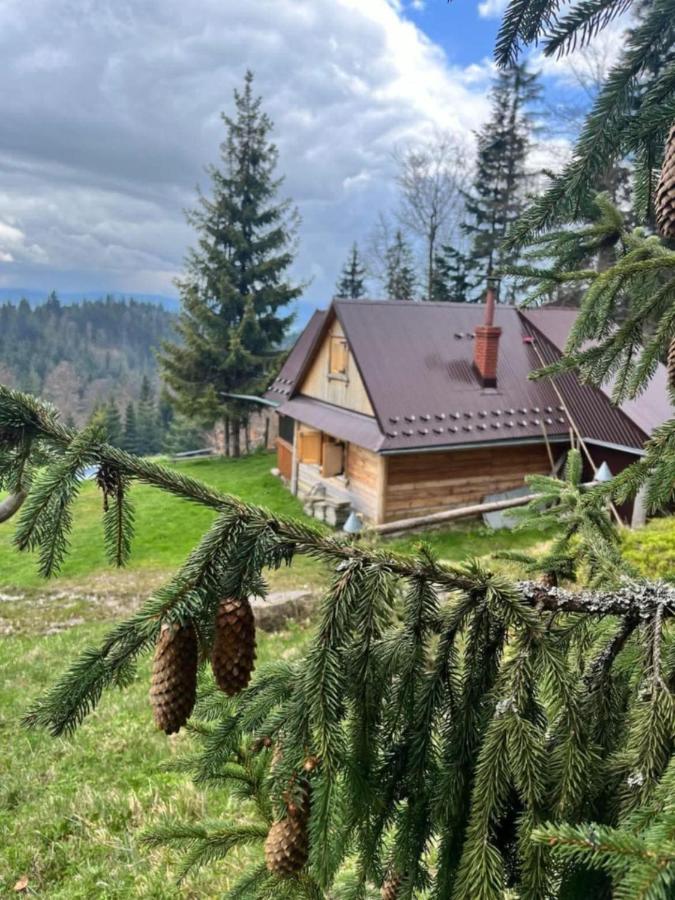 Terenowka Bacowka - Ferienwohnung Waksmund