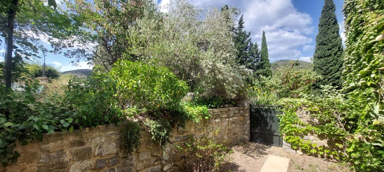 Gîte de L'estiu - B&B Cascastel-des-Corbières