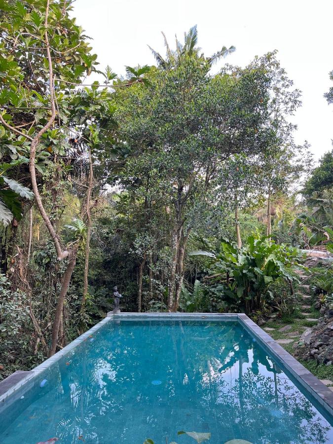 Villa santru - B&B