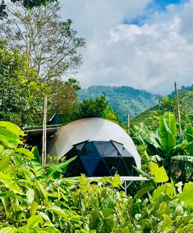 Kayala Domes - B&B