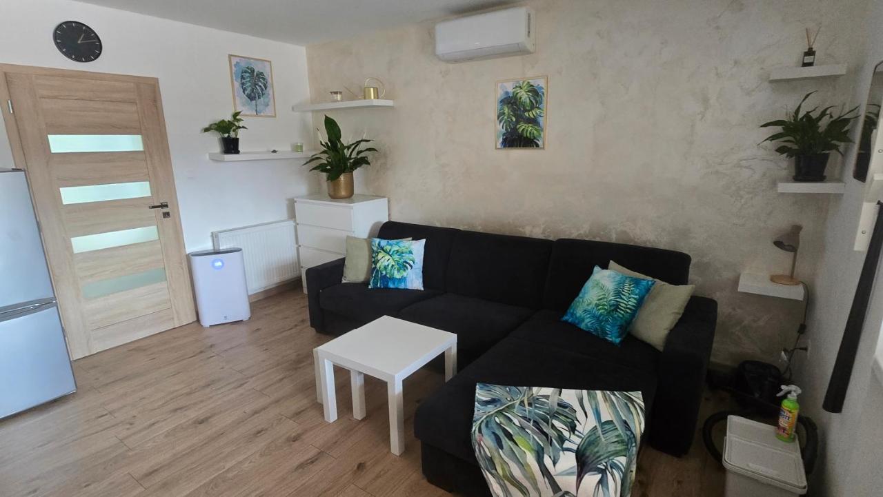 Lexa Apartment - B&B Mierovo
