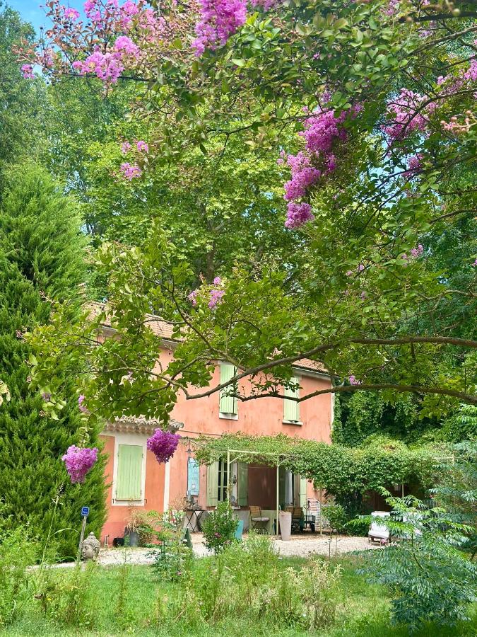 Double Room - Rose