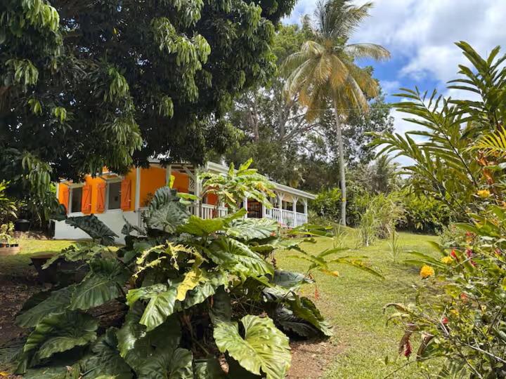 Kaz'Arawak - B&B Sainte-Rose