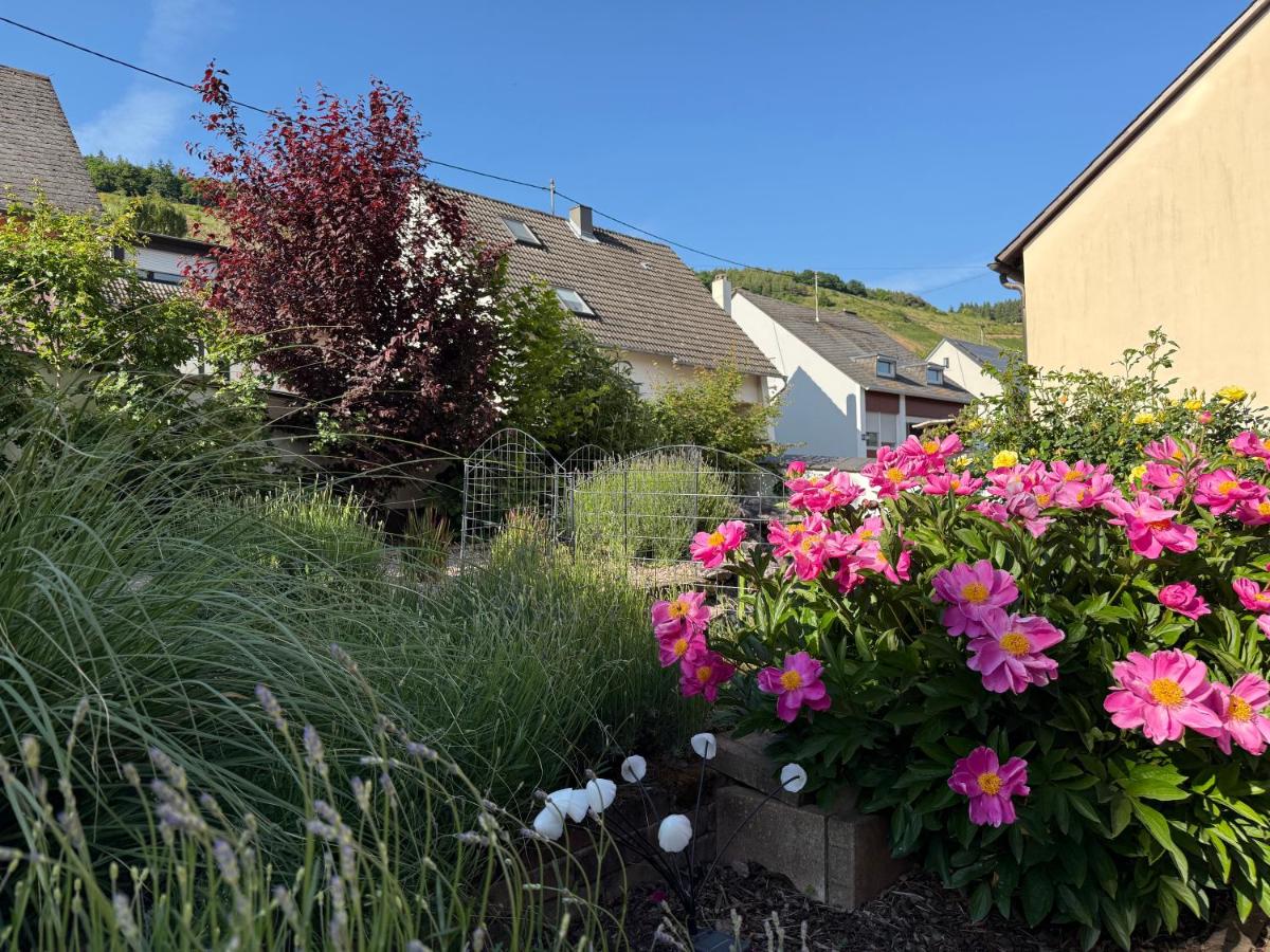 Zwischen Mosel und Weinbergen - B&B