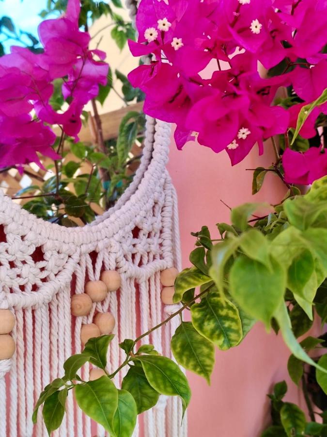 Reginas studios & apartments - Bougainvillea Suite - B&B