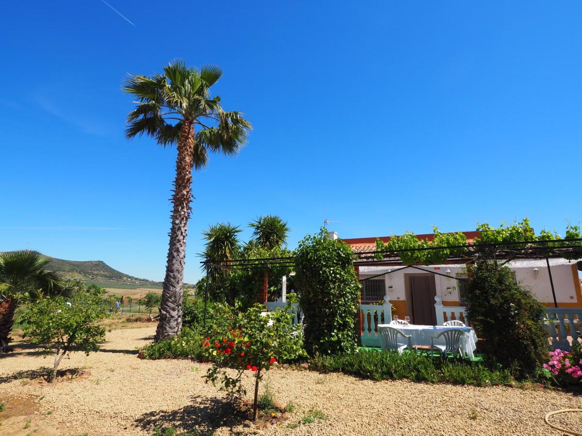 Chalet 2 Chambres