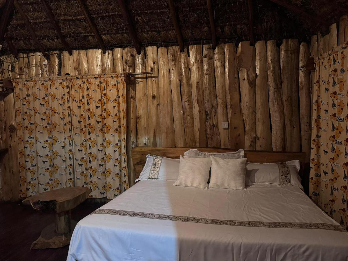 Podocarpus Cottages -02 - B&B