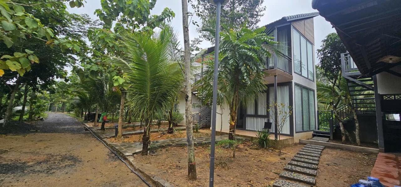 Homestay Dat Viet - Bed and Breakfast Tân Phú