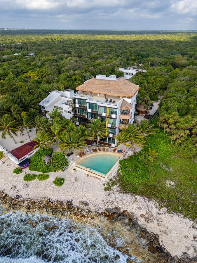 Angelina 28 Beachfront and Family Apartments - Modern and Relaxing Long Stays - 20 min from Cancun Airport - B&B