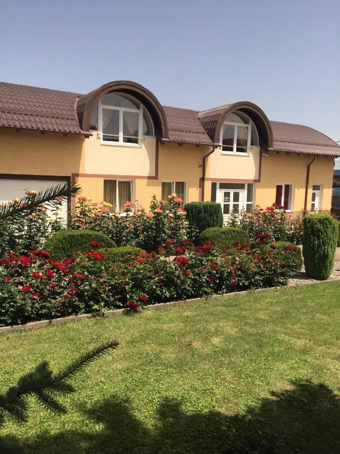 B&B Cluj-Napoca - Pensiunea Zbor 1 - Bed and Breakfast Cluj-Napoca