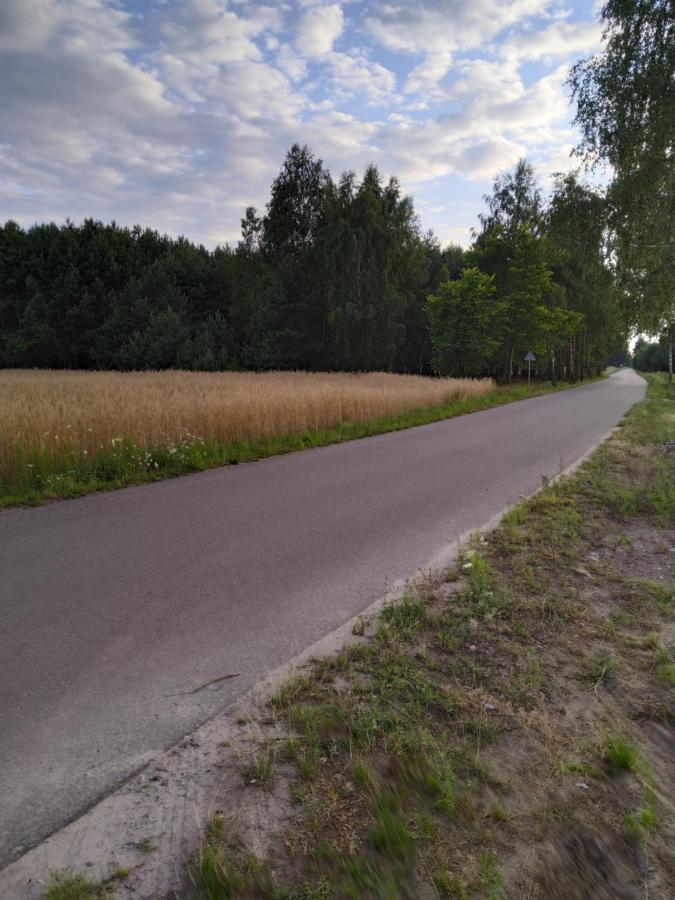 Apartament 1 - B&B Wrzeczko