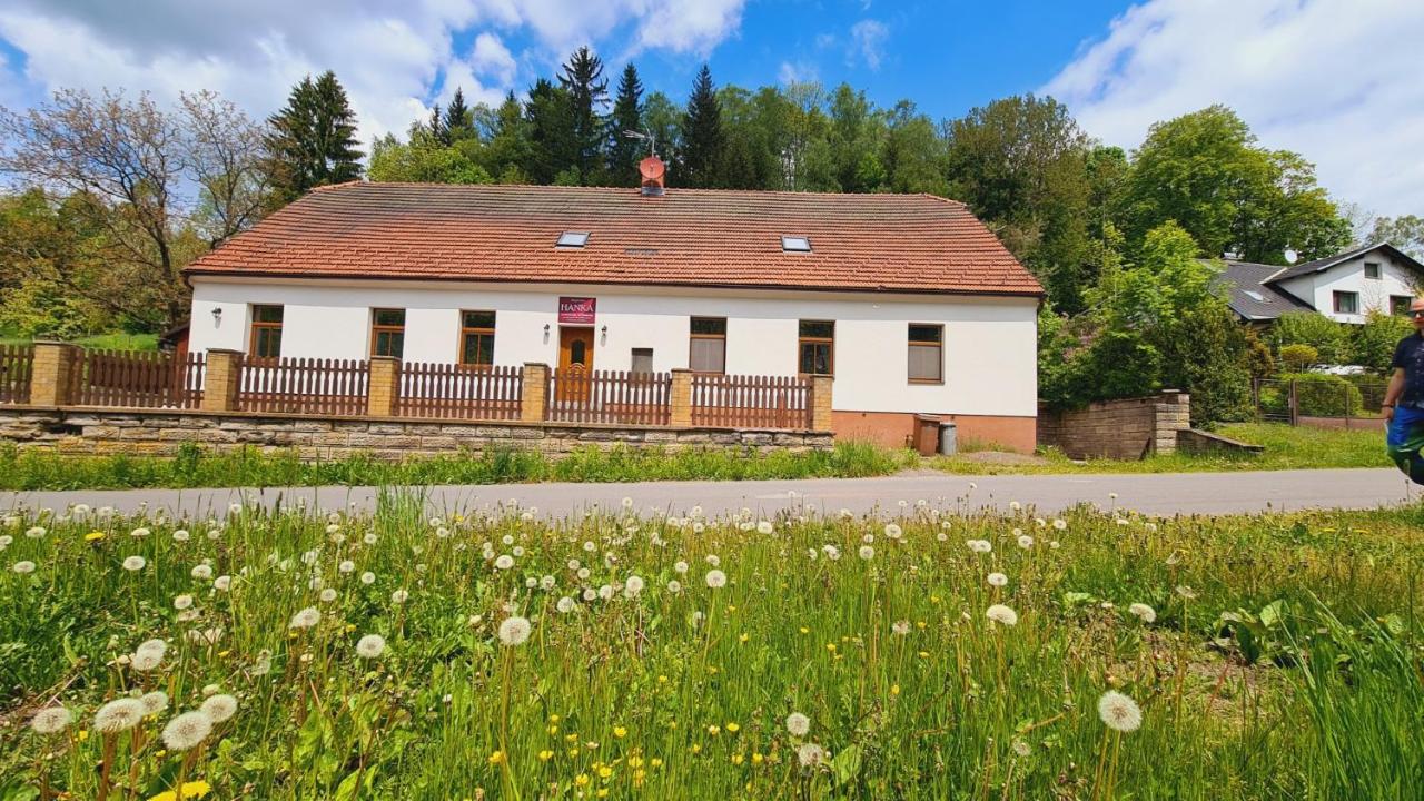 Penzion Hanka Orličky - B&B Orličky