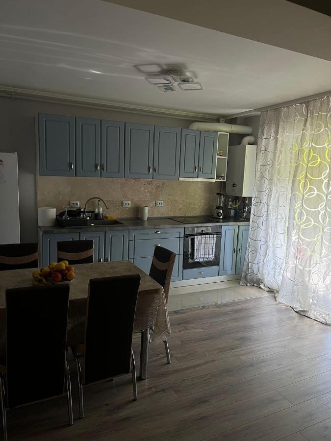 Apartament David - Ferienwohnung Văleni