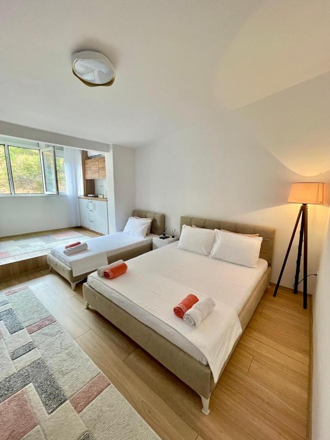Lina Apartment Prizren - B&B