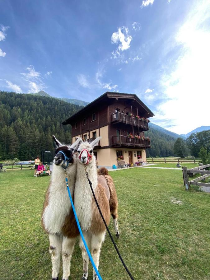Villa Americana Chambres d'Hotes - Ferienwohnung Champoluc-Champlan