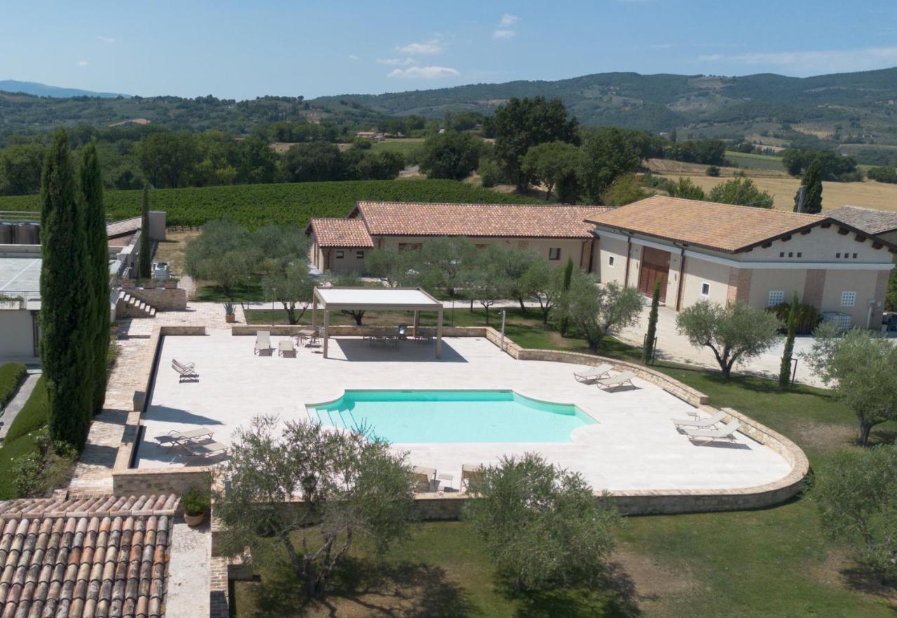 Fattoria Colsanto - B&B Torre del Colle