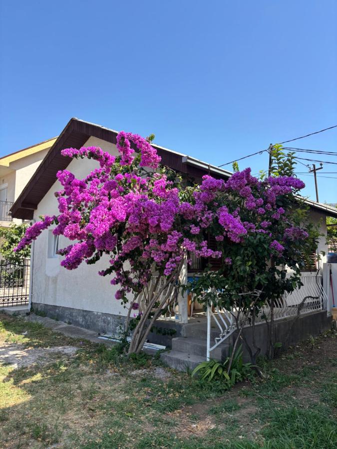 Bloom Home Bar - Ferienwohnung Bar