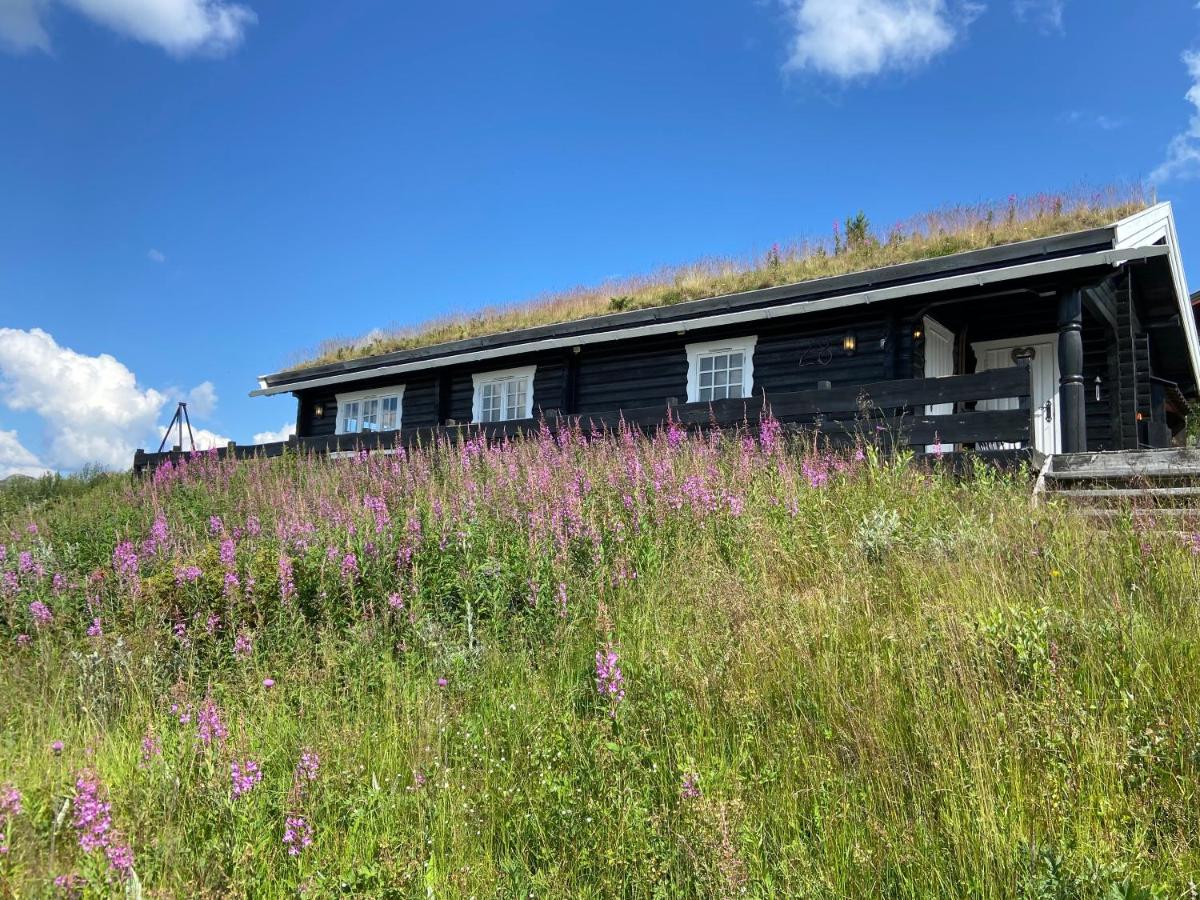 Hytte med panoramautsikt i Uvdal - B&B Nørdstebø