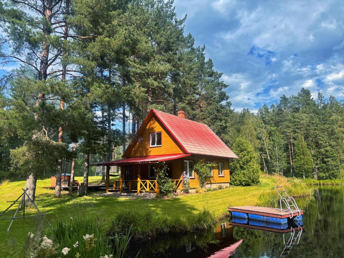 Forest house Einblūti - B&B