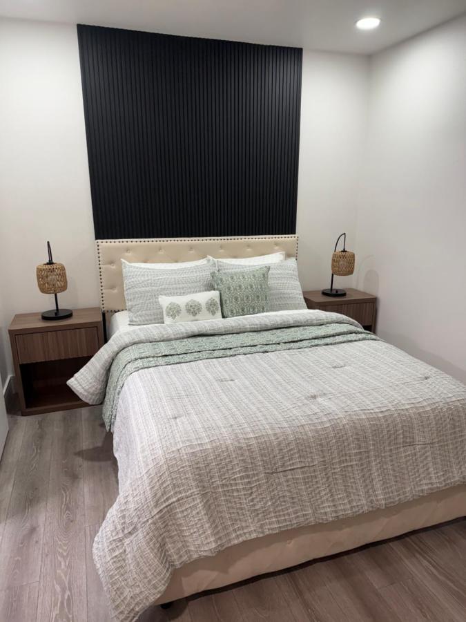 Luxury apartments - B&B Tampa