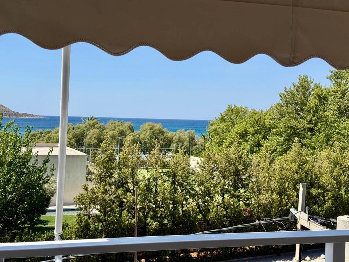 Diana Seaside Apartment - Chambres d'hôtes Anávyssos