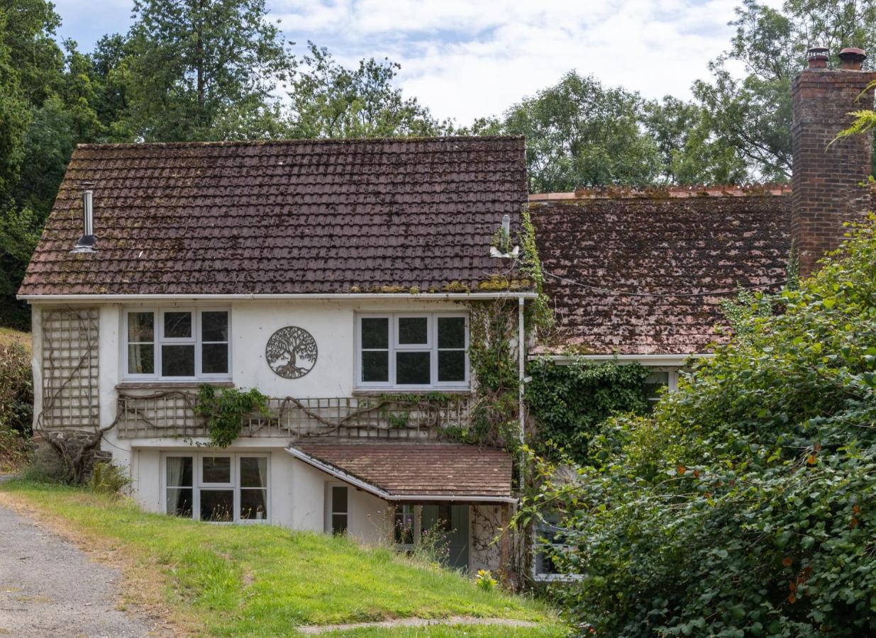 The Old Mill Cottage set in the heart of Devon - B&B