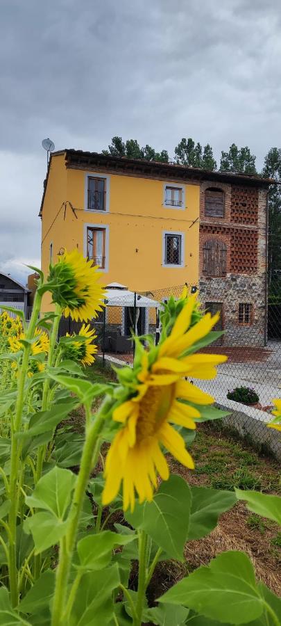 B&B Toringo - B&B Capannori