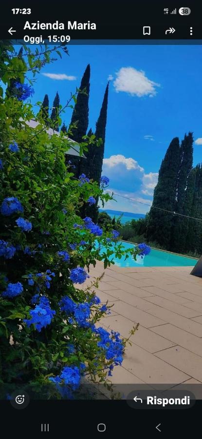 Apartment with Lake View