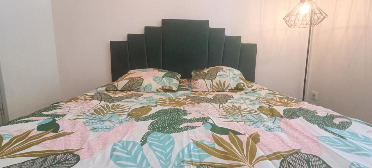Appartement T2 style tropical tout confort CENTRE VILLE - B&B Angoulême