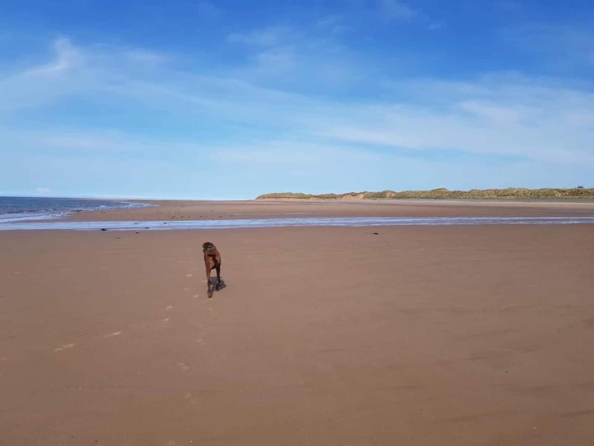 Cosy, coastal cottage- Beach, Pub and shop nearby - Chambres d'hôtes Haverigg