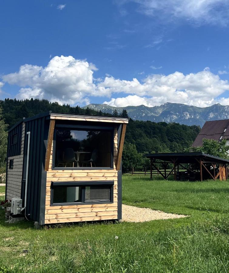 Tiny Bran - Chambres d’hôtes Bran