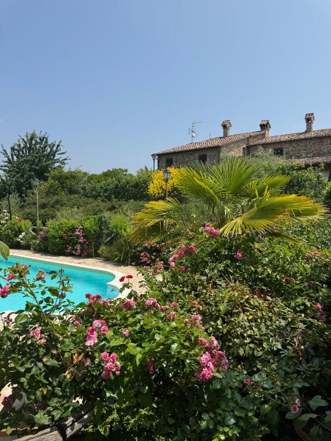 Agriturismo La Valle Dimenticata - B&B Urbania