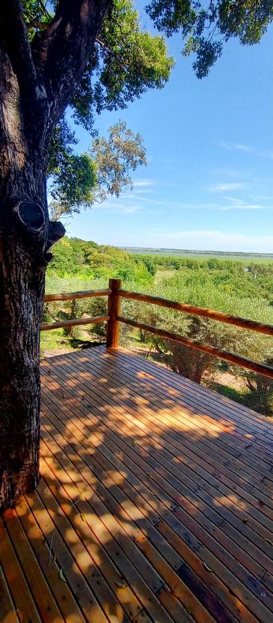 Cabaña Paso de los barcos - B&B San Pedro