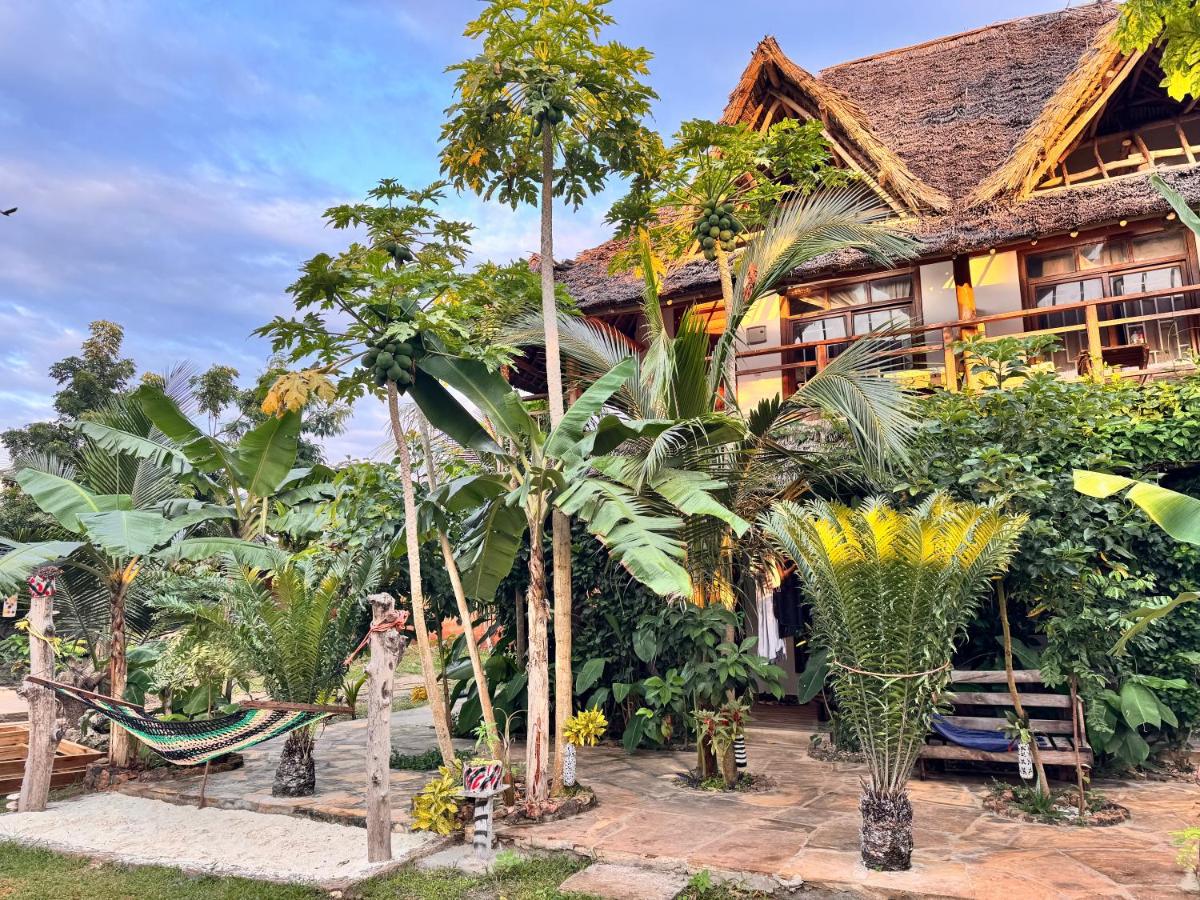 Jumanji B&B - B&B Kinyasini