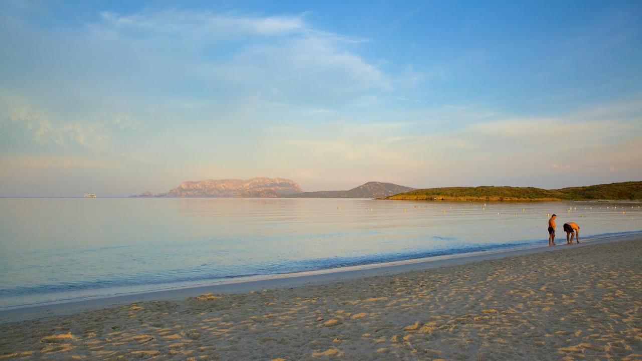 Passa Parola - B&B Olbia