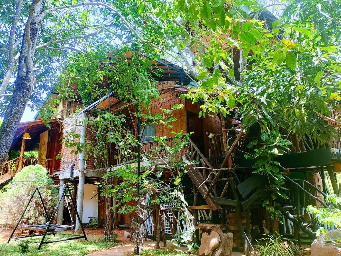 Nera Nature House - Bed and Breakfast Sigiriya