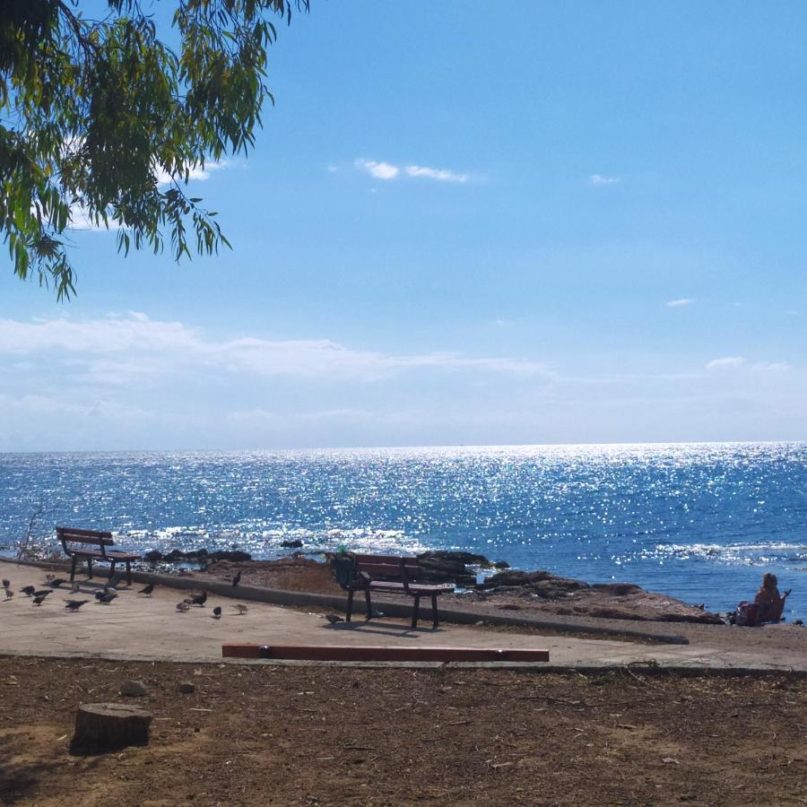 Rosemary - B&B Loutsa