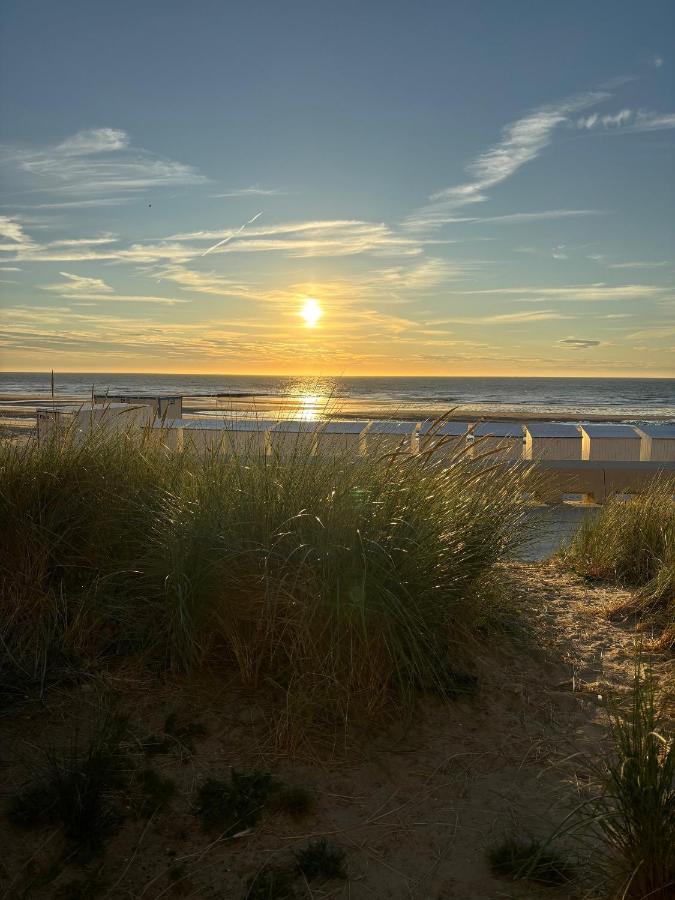 Studio Casino Middelkerke - Ferienwohnung Middelkerke