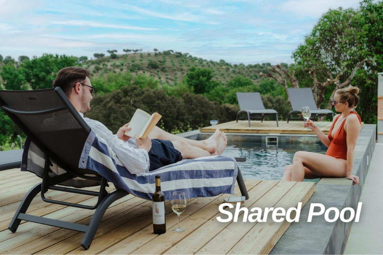 Alojamentos Plansel - No Coração das Vinhas do Alentejo - B&B