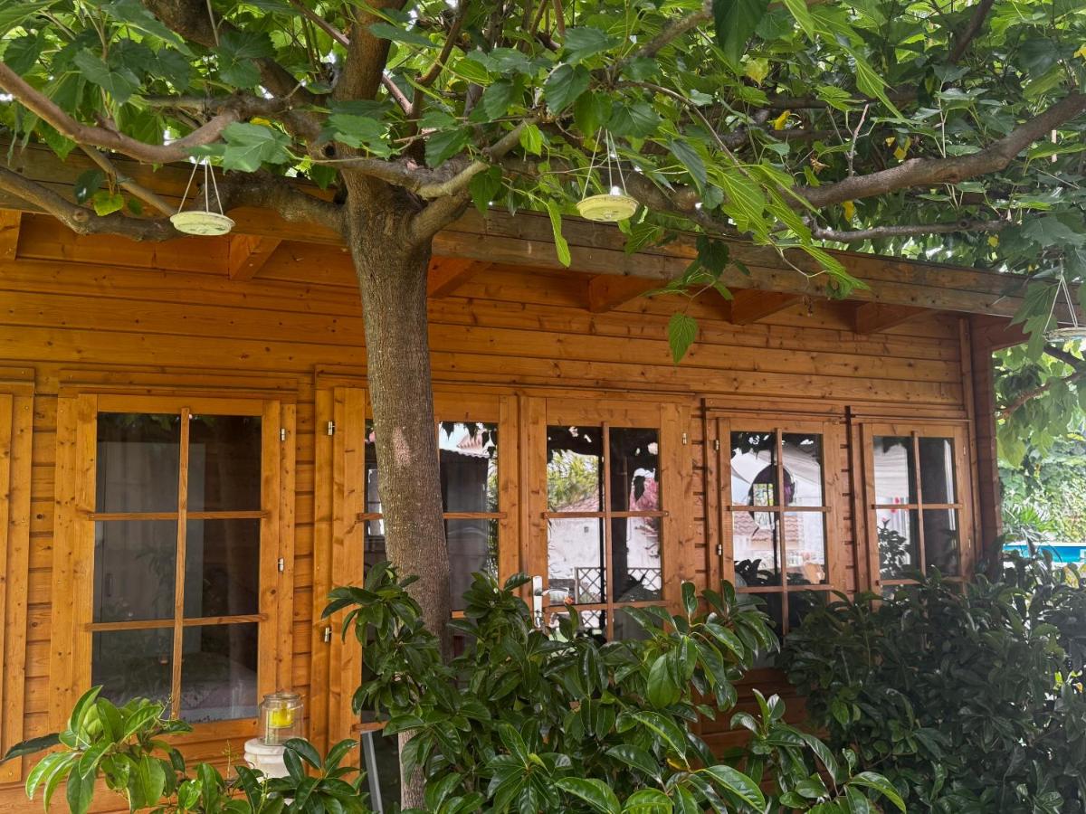 Cozy retreat near Barcelona,Tranquility,Fresh Air and undeniable charm - Bed and Breakfast Castelldefels