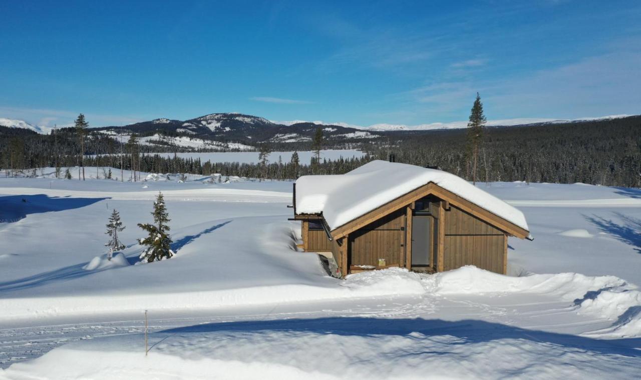 Hedda Robølshøvda - 3 bedroom cabin with a lovely view - B&B Heggenes