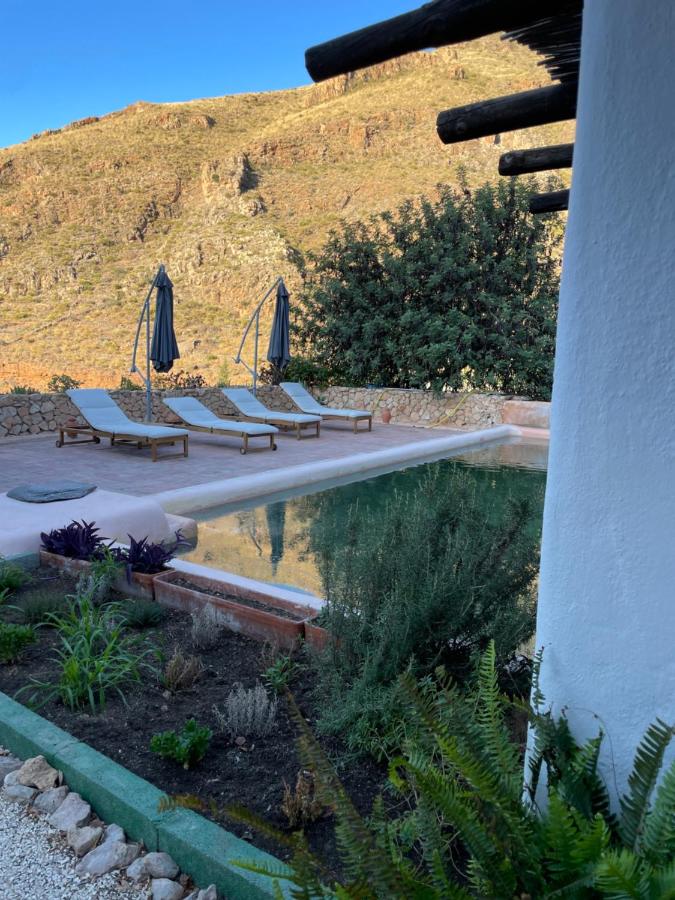 Cortijo rural la alberca - B&B