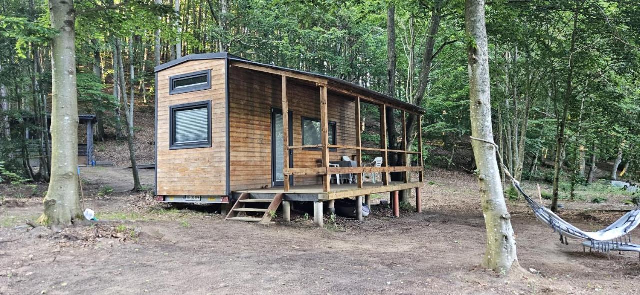 Tiny House na Kaszubach w Potęgowie - B&B