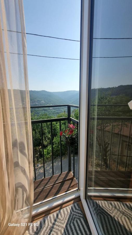 Guest House Horizonti - B&B Sighnaghi