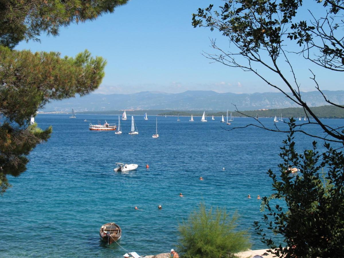 Villa Maslina - Bed and Breakfast