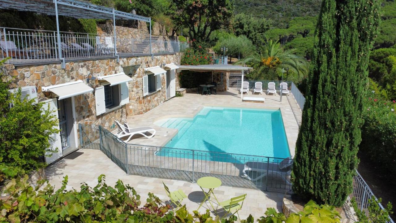 Borgo dell'Uccellaia - Ambra - B&B
