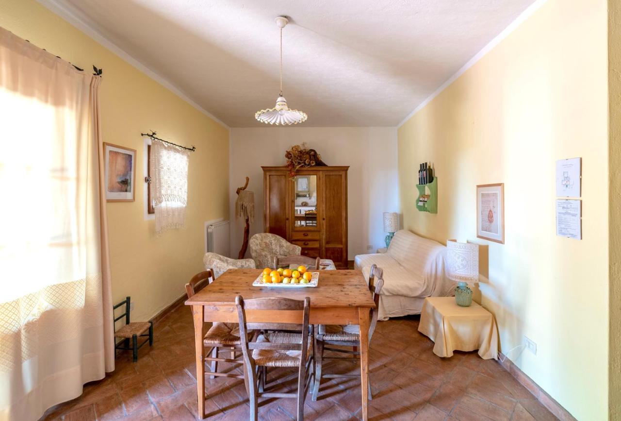 Apartment - Disability Access