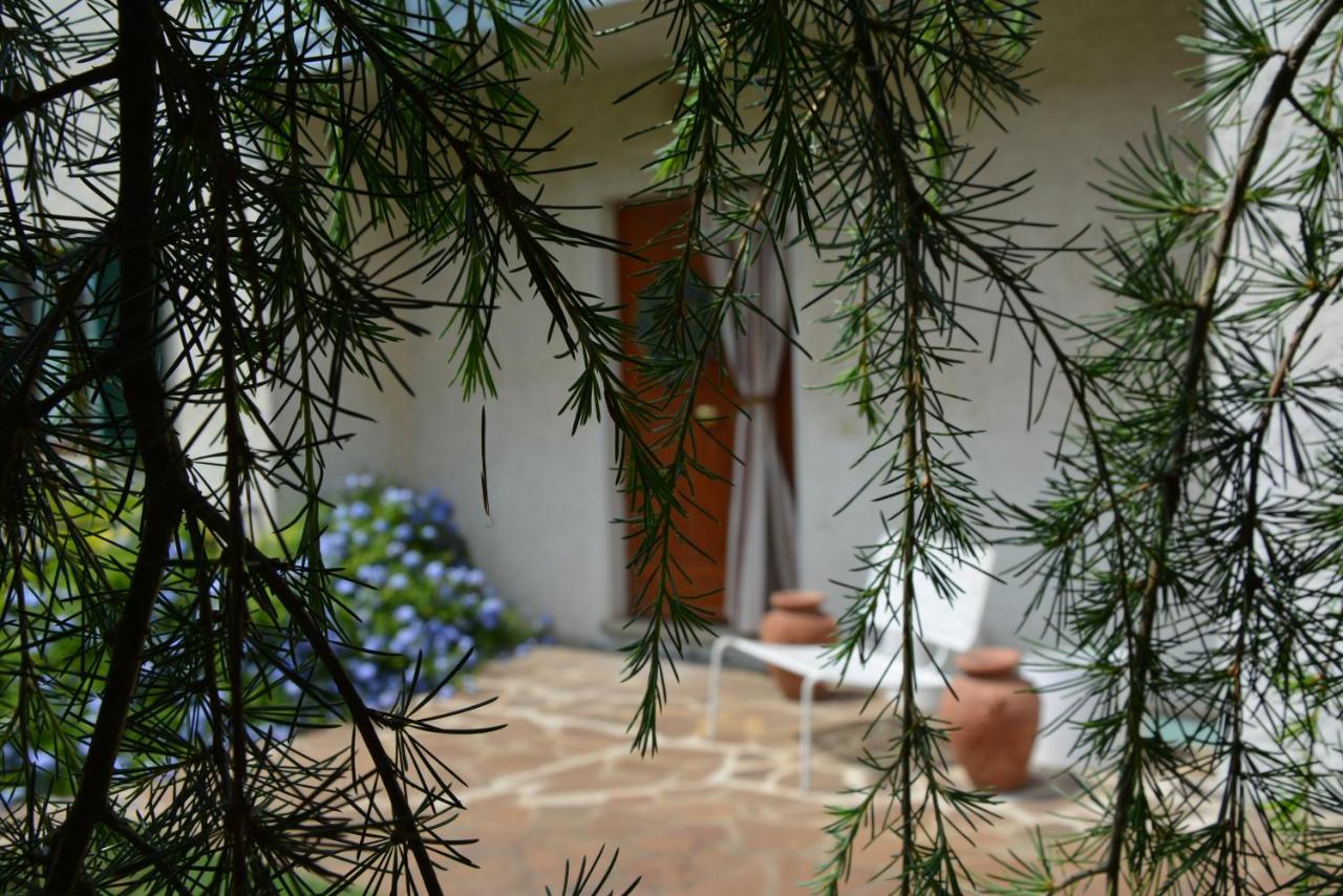 Villa Luisa Design - B&B