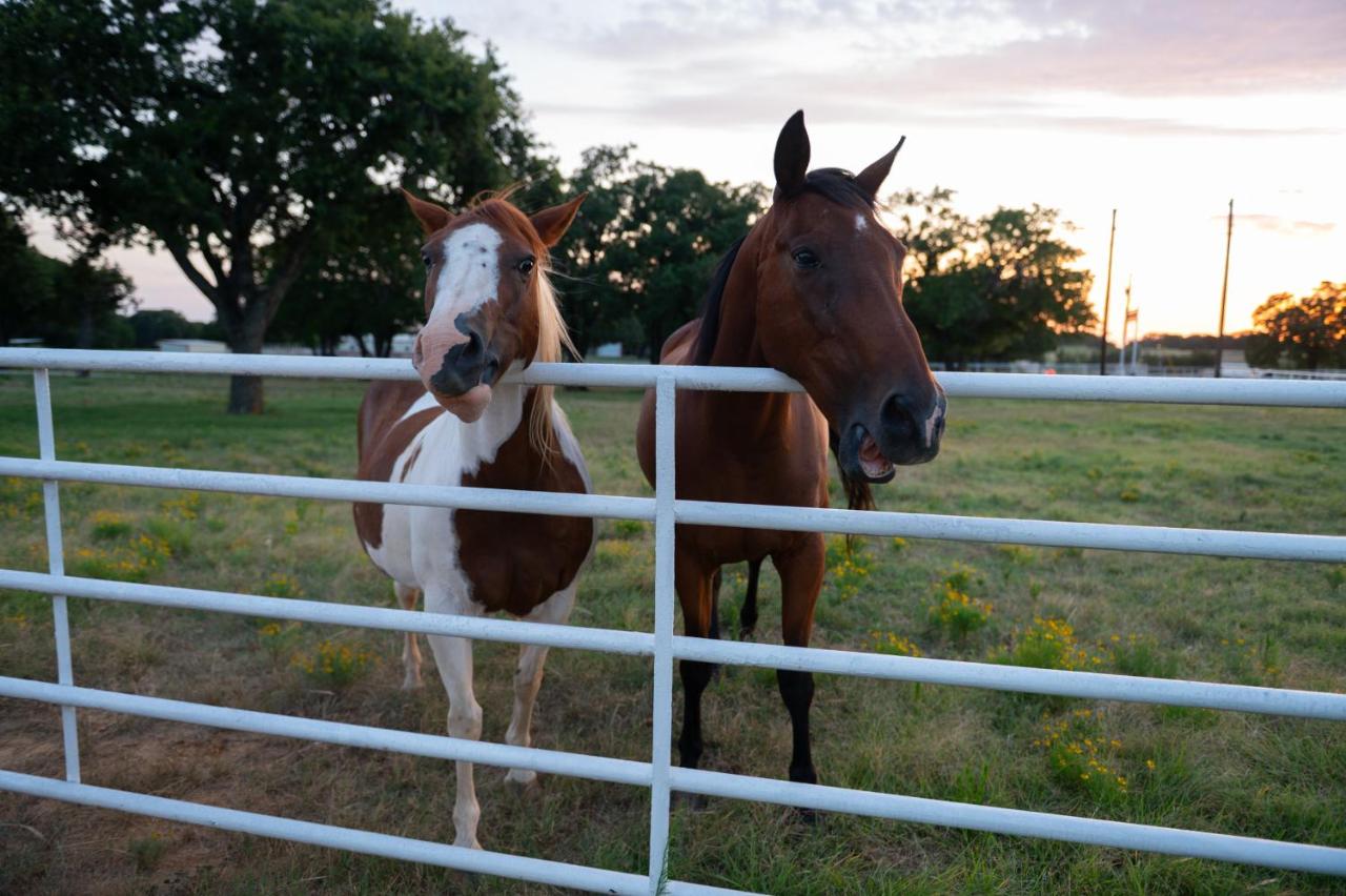 Dog-Friendly Texas Ranch with Patio, Horses On-Site - B&B Aubrey