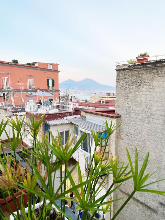 Vecchia Napoli Vesuvio - B&B Naples
